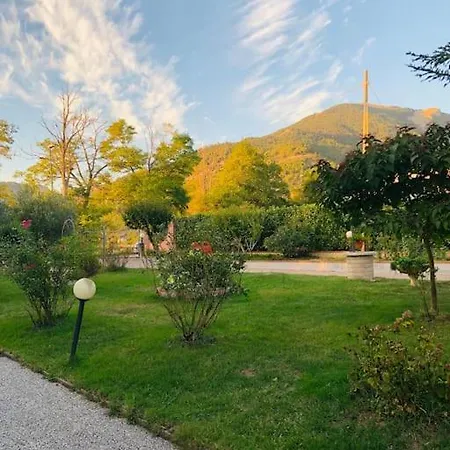 Fiorella